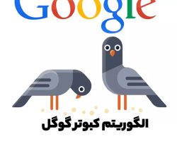 الگوریتم کبوتر گوگل چیست